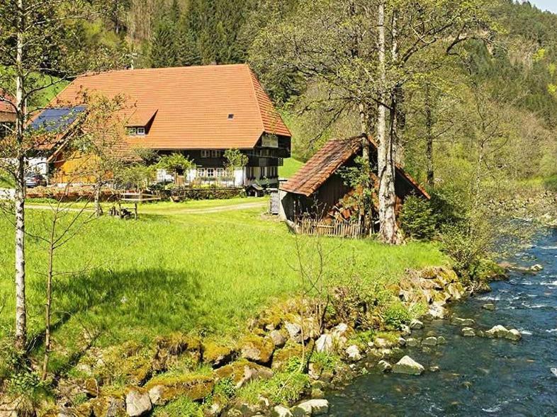 Gaestehaus Ursula Хорнберг Экстерьер фото