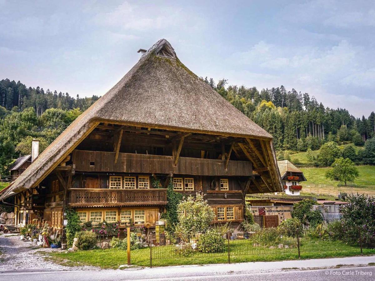 Gaestehaus Ursula Хорнберг Экстерьер фото