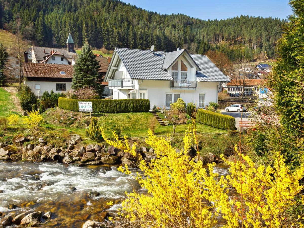Gaestehaus Ursula Хорнберг Экстерьер фото