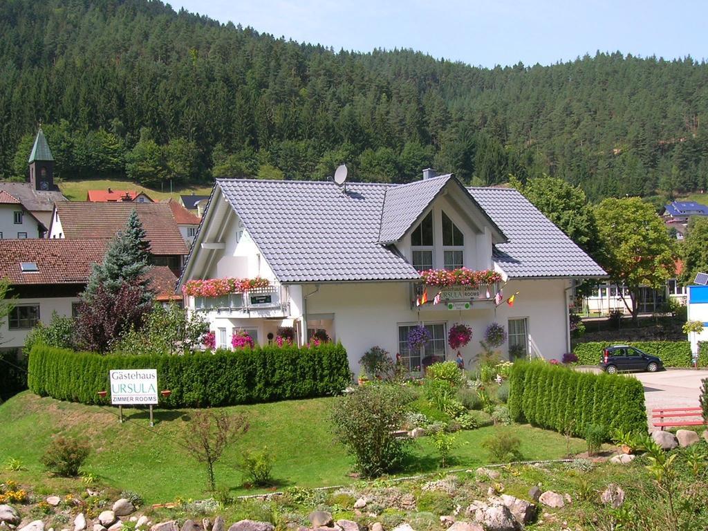 Gaestehaus Ursula Хорнберг Экстерьер фото
