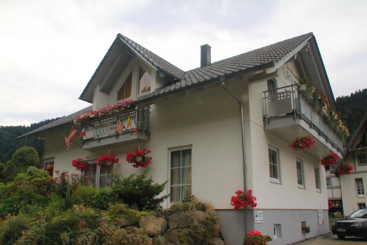 Gaestehaus Ursula Хорнберг Экстерьер фото