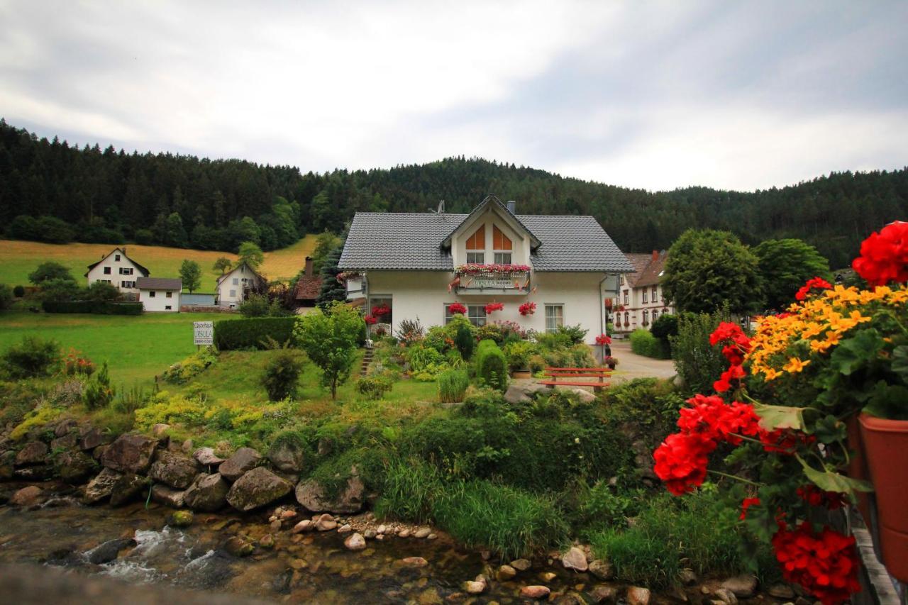 Gaestehaus Ursula Хорнберг Экстерьер фото